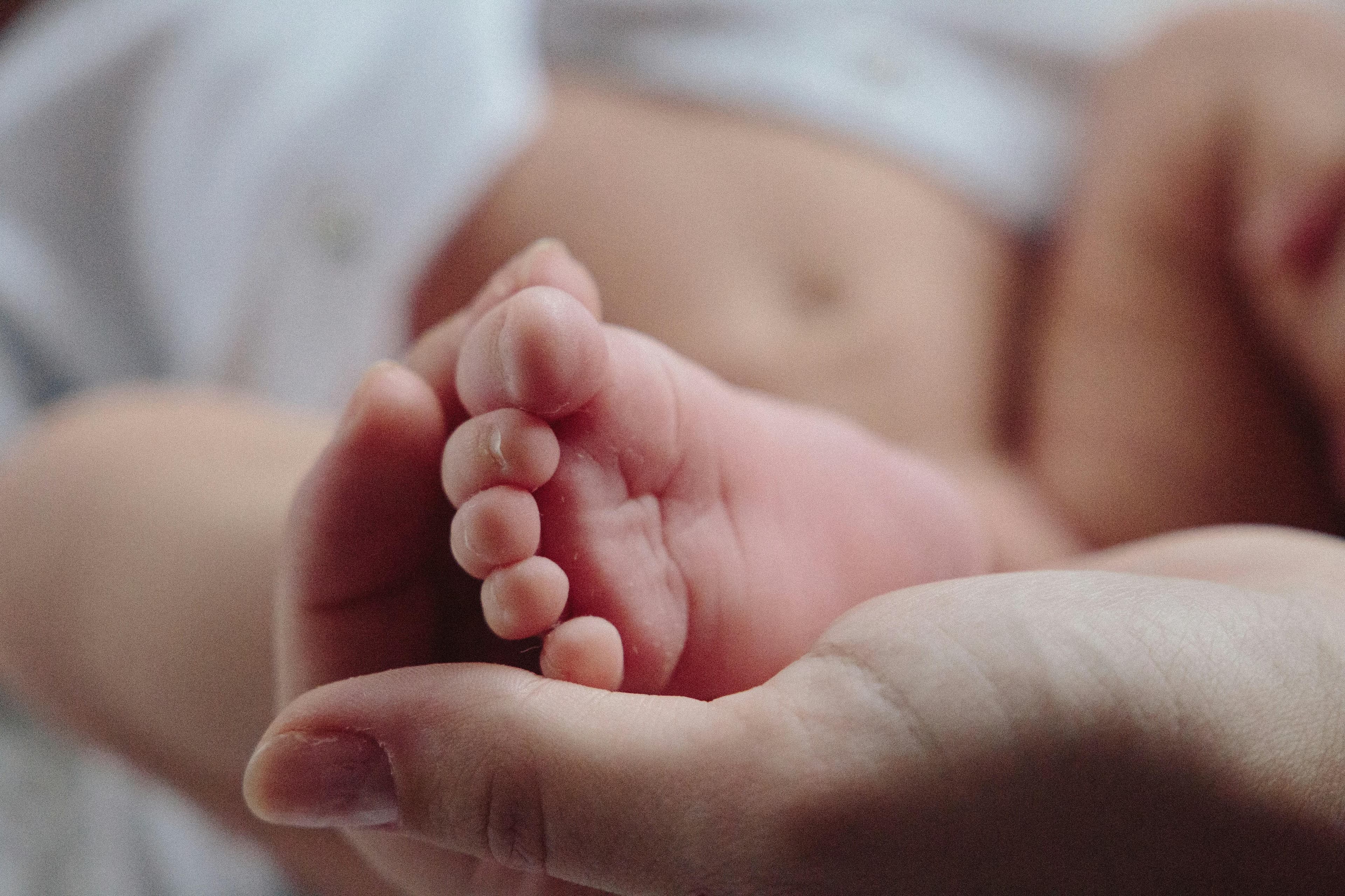 Licensed Maternity Leave Medical Certificate - Pregnancy Evaluation and Medical Documentation